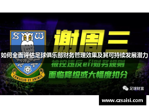 如何全面评估足球俱乐部财务管理效果及其可持续发展潜力